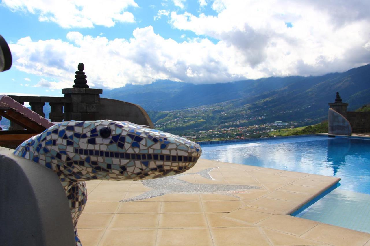 Casa Vista Pajaro Daire Puntallana Dış mekan fotoğraf